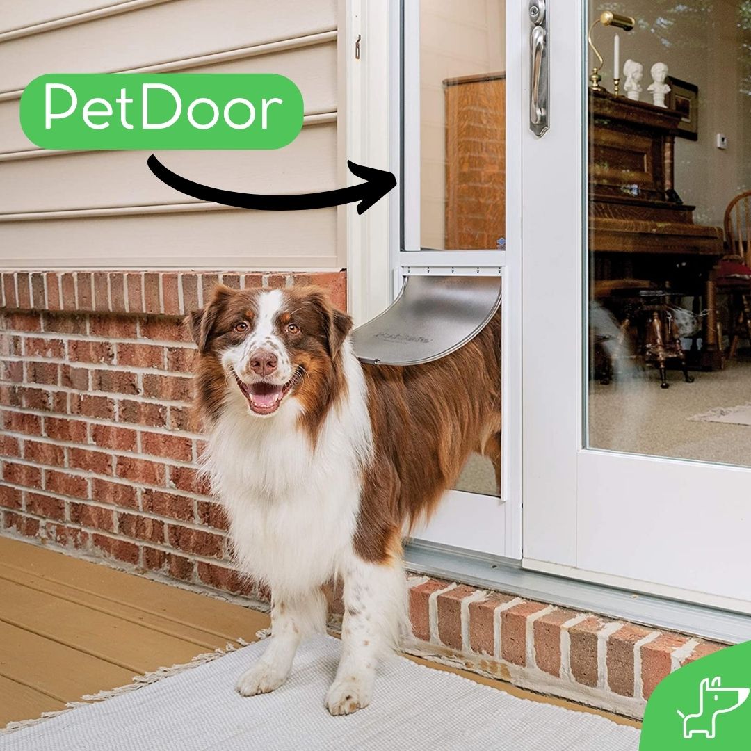 Puerta para perros para la casa, puertas de mascotas para perro, puerta de  mascotas, puertas para perros en interiores, puerta de perro para
