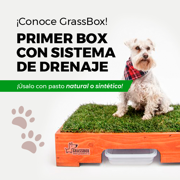 GrassBox